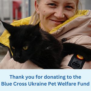 charity-_0030_Blue Cross