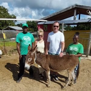 charity-_0031_Antigua Donkey Sanctuary